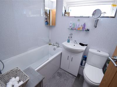 Picture 11
